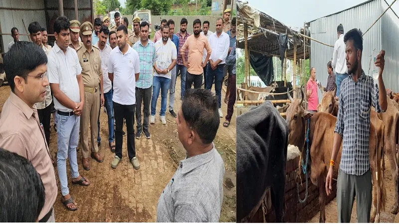 Sambhal News : गोशाला में कई गोवंशीय पशुओं की मौत, दो अधिकारी निलंबित